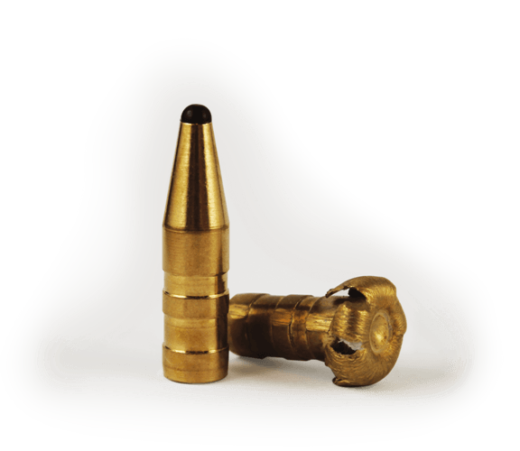 fox bullets_mushroom deformation