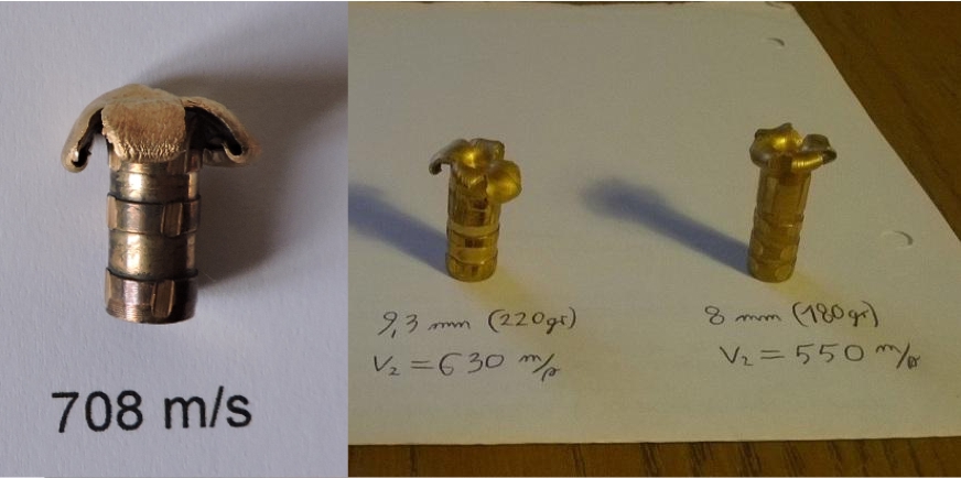 Fox Bullets_reduced loads test