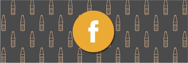 fox Bullets_facebook