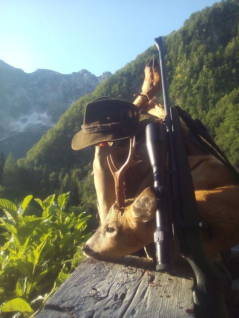 High mountain roe deer